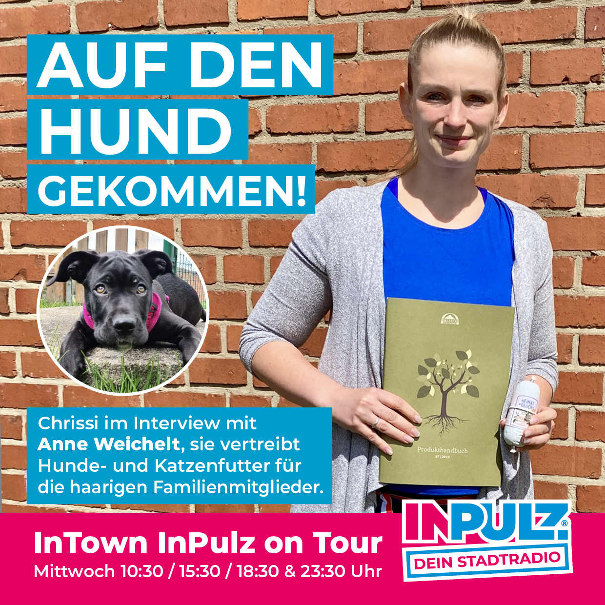 You are currently viewing Auf den Hund gekommen!