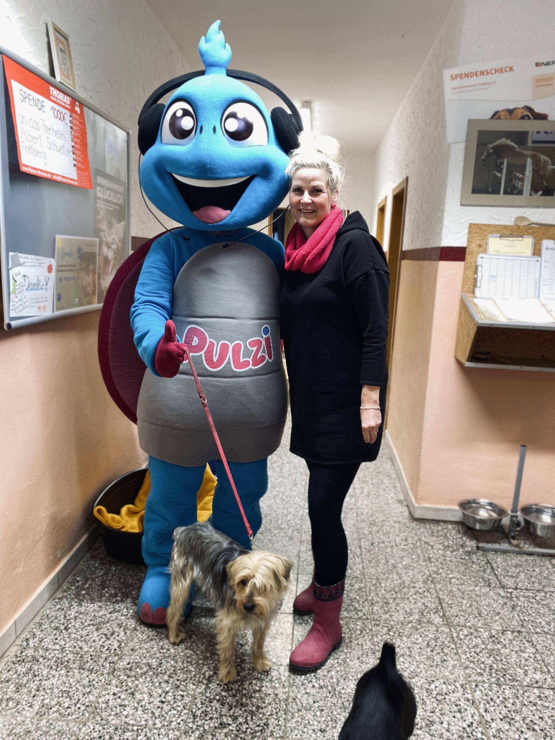 Du betrachtest gerade Unser Maskottchen Pulzi besucht das Tierheim Freiberg